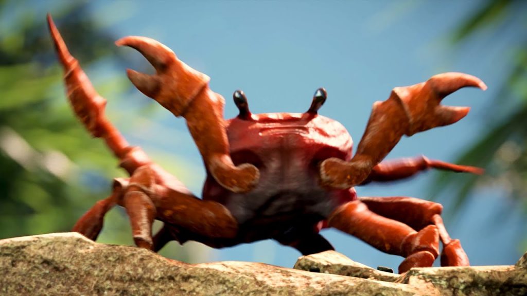 Crab Rave isimli videodaki meşhur animasyon yengeçlerden birisi, sahilde bir kayanın üstünde dans ediyor.